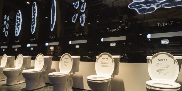 une rangée de WC sur pied à l'exposition québécoise Ô merde