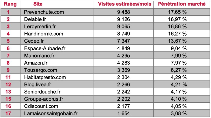 tableau Top 15 sites émergeant sur les mots clés dédiés à l'accessibilité