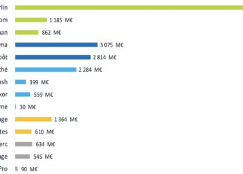 Chiffres d'affaires 2023 des enseignes de bricolage françaises