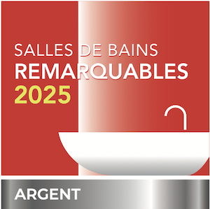 Afisb 2025 Logo Trophée Argent