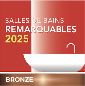 Afib-2025-Logo-Trophée-Bronze